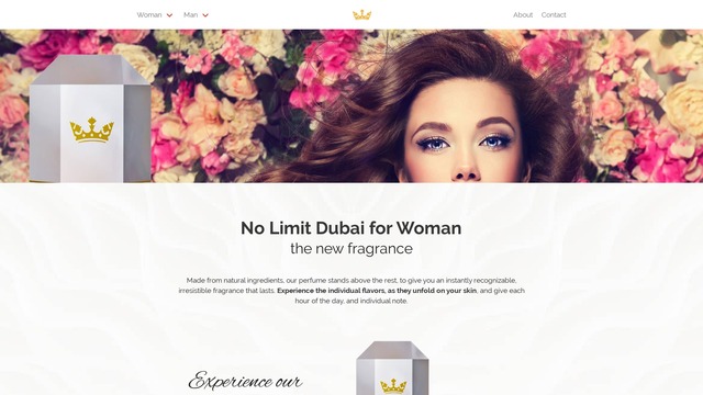 No Limit Dubai Website